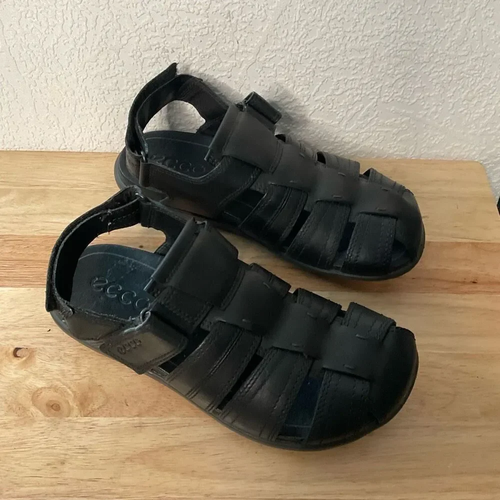 Ecco elevate your